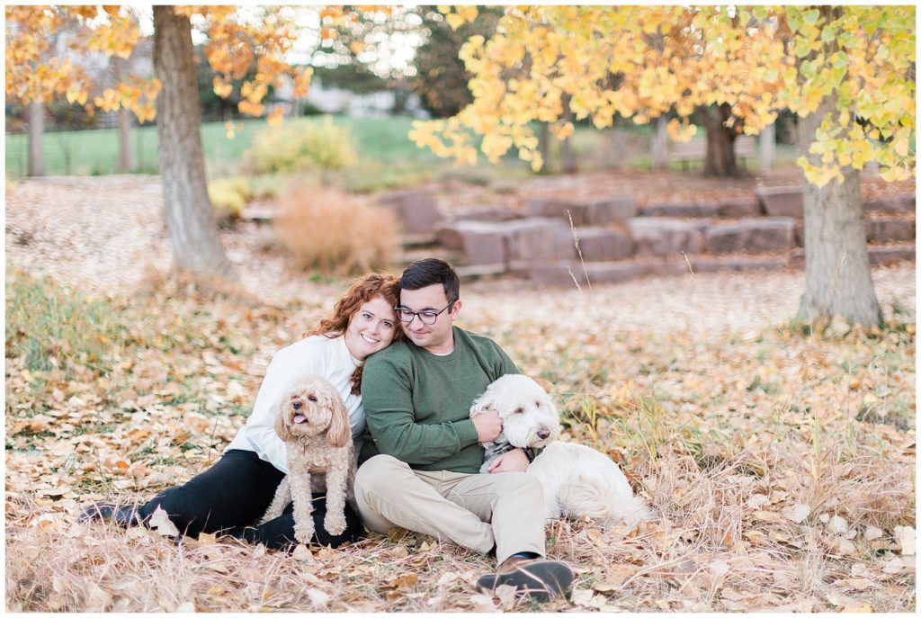 Fall mini session in denver with dogs